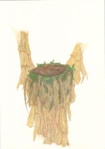 'Nest' A4 ink and watercolour $250