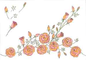 Border Screen Print Design Commission, NFS